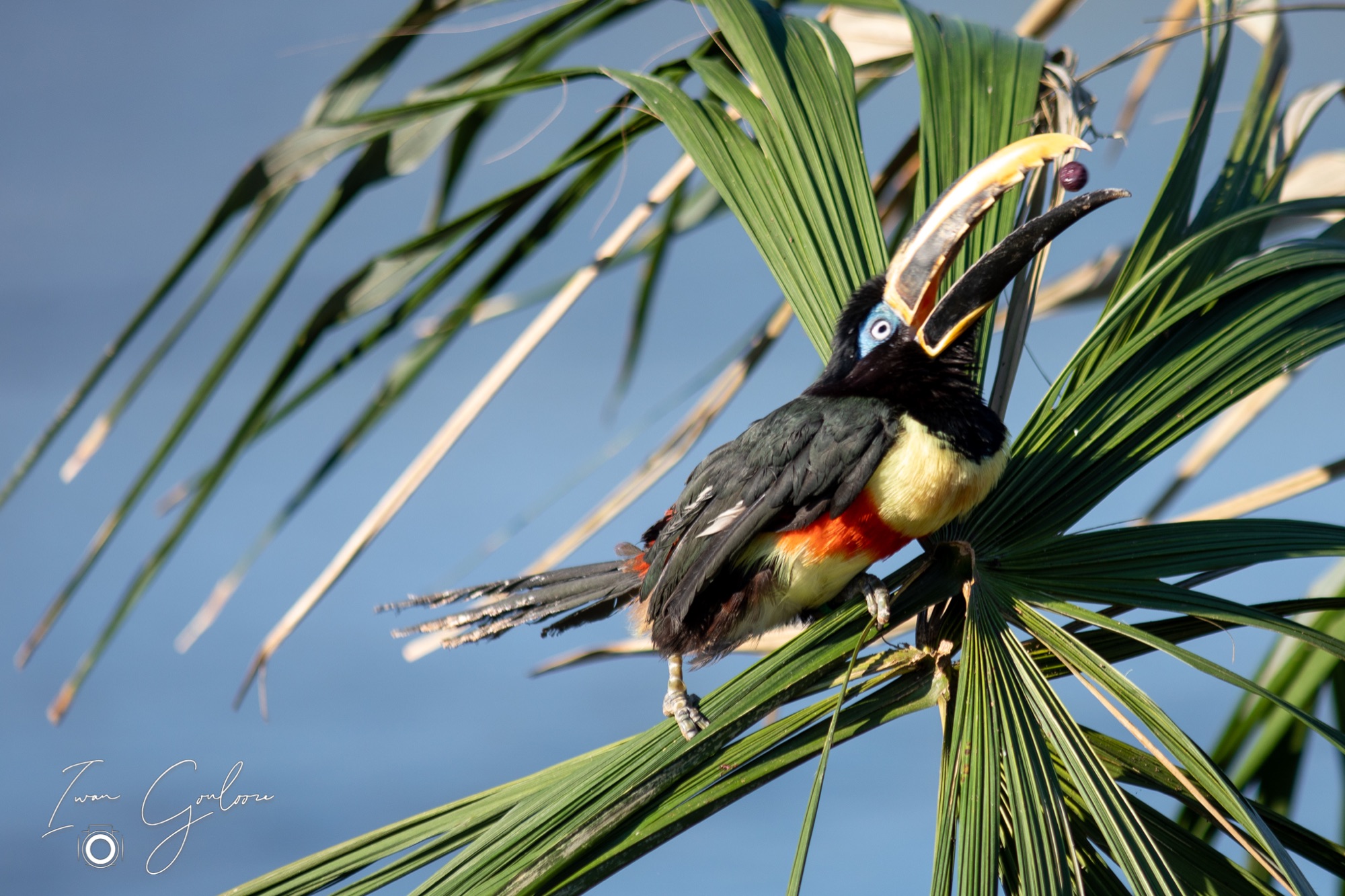 04 maart 2022 154846  5D44225